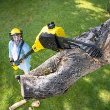 Best Grass Overseeding  in La Crosse, WI